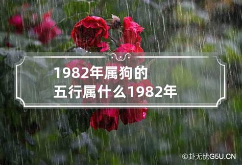 82屬什麼|82年属什么 1982年五行属什么